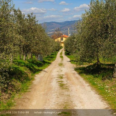 Bioagriturismo Poderaccio Incisa in Val d'Arno Eksteriør bilde