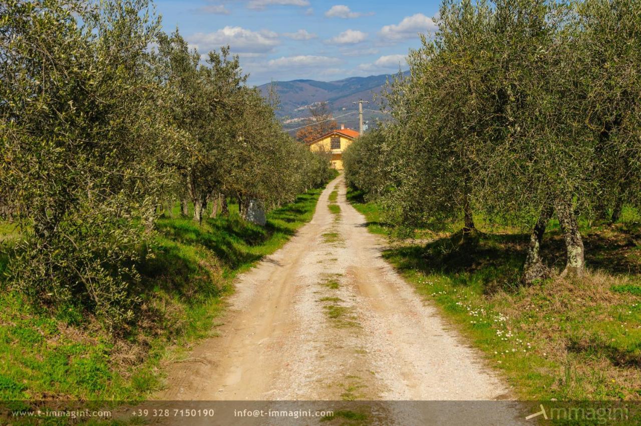 Bioagriturismo Poderaccio Incisa in Val d'Arno Eksteriør bilde