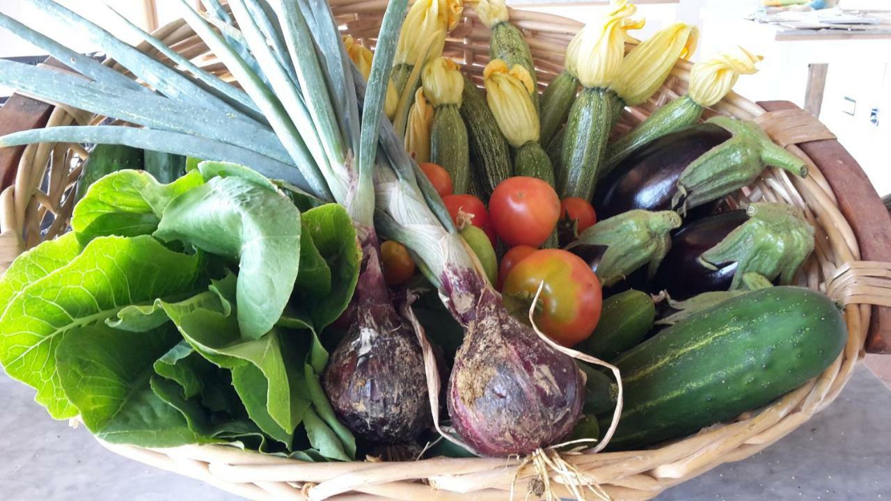 Bioagriturismo Poderaccio Incisa in Val d'Arno Eksteriør bilde