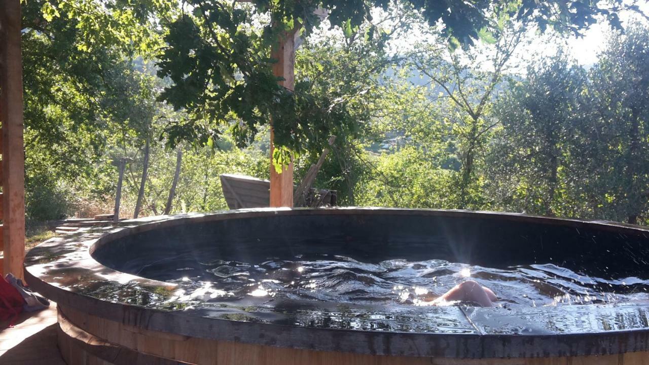 Bioagriturismo Poderaccio Incisa in Val d'Arno Eksteriør bilde